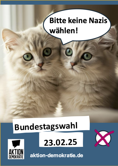 Zwei Katzen mit einem Wahlaufruf gegen Nazis. Bundestagswahl am 23.02.25.